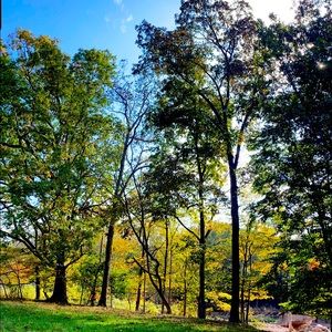 Meet your Posher, Savannah